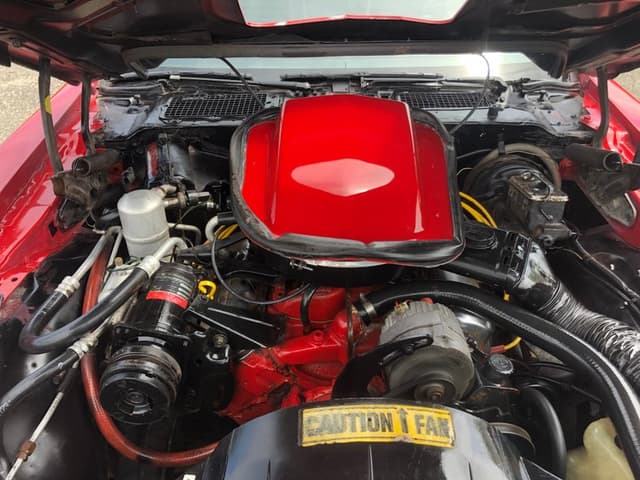 1979 Pontiac Trans Am